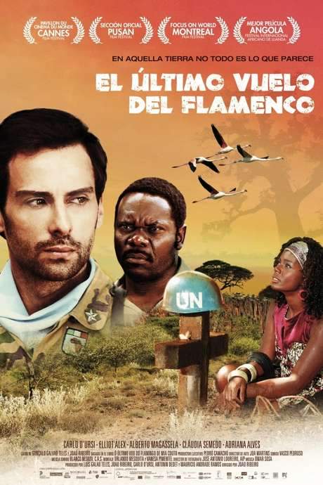 O Último Voo do Flamingo